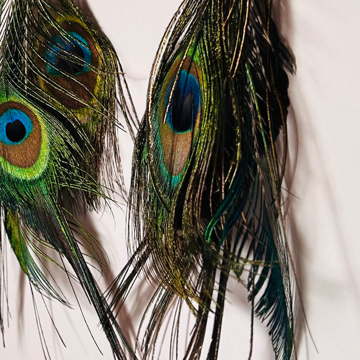 Avian Marvel, Feathered Earrings