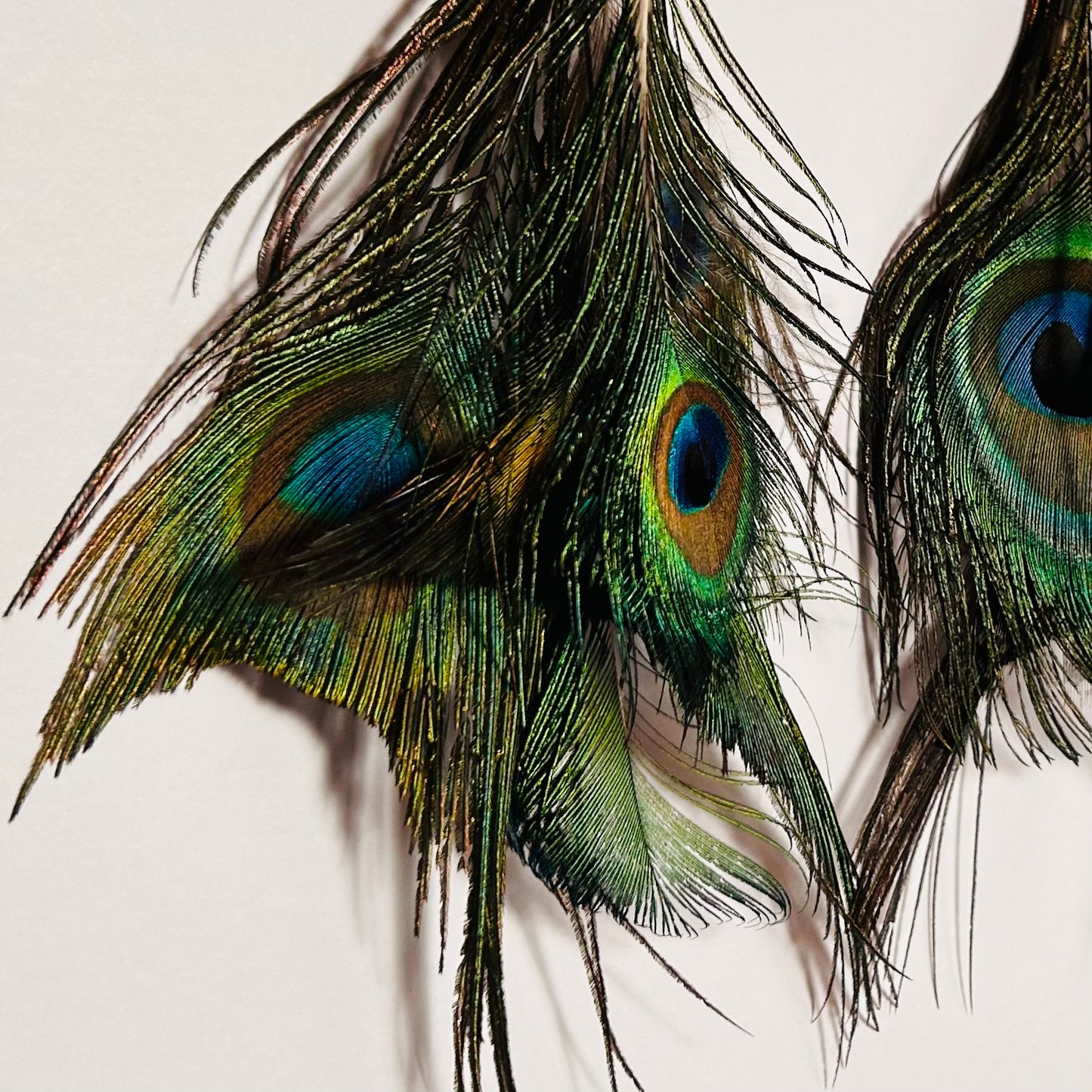 Avian Marvel, Feathered Earrings